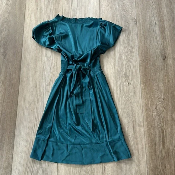 BCBG Maxazria Silk Dress - Picture 3 of 6